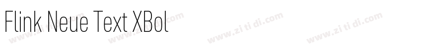 Flink Neue Text XBol字体转换 Flink Neue Text XBol字体转换